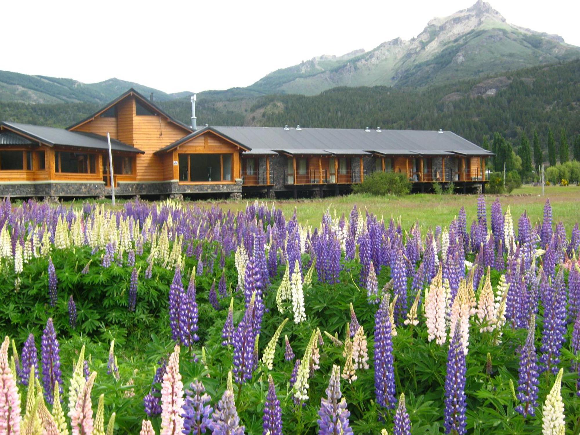 Hosteria Ruca Kitai Villa Lago Rivadavia 외부 사진